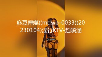 麻豆傳媒)(mdwp-0033)(20230104)淫行KTV-趙曉涵