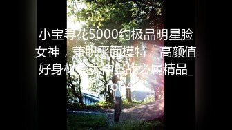 小宝寻花5000约极品明星脸女神，兼职平面模特，高颜值好身材，大神出战必属精品_prob4