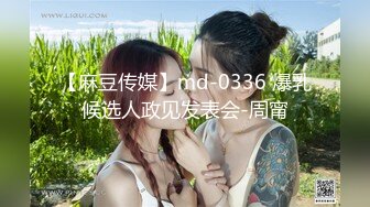 【麻豆传媒】md-0336 爆乳候选人政见发表会-周甯