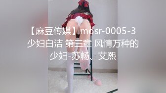 【麻豆传媒】mdsr-0005-3 少妇白洁 第三章 风情万种的少妇-苏畅、艾熙