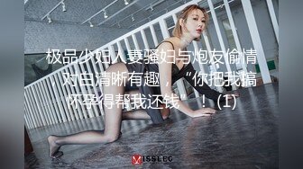 极品少妇人妻骚妇与炮友偷情，对白清晰有趣，“你把我搞怀孕得帮我还钱”！ (1)