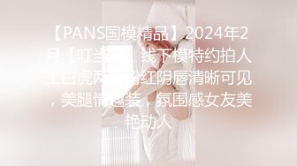 【PANS国模精品】2024年2月【叮当猫】线下模特约拍人工白虎两瓣粉红阴唇清晰可见，美腿情趣装，氛围感女友美艳动人