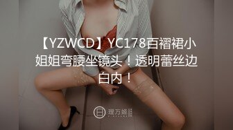 【YZWCD】YC178百褶裙小姐姐弯腰坐镜头！透明蕾丝边白内！