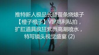 推特新人极品长腿苗条烧婊子【橙子橙子】VIP福利私拍，扩肛道具疯狂紫薇高潮喷水，特写镜头视觉盛宴 (2)