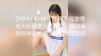 [MP4/ 496M] 车模下海激情夜大长腿美女小姐姐，被纹身男各种姿势操，蹲着特写舔屌