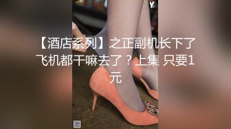 【酒店系列】之正副机长下了飞机都干嘛去了？上集 只要1元