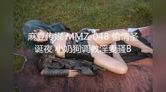 麻豆传媒 MMZ-048 偷情圣诞夜 小奶狗调教淫妻骚B