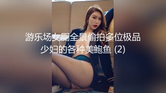 游乐场女厕全景偷拍多位极品少妇的各种美鲍鱼 (2)