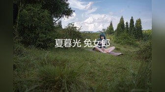 夏暮光 兔女郎