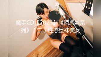 魔手CD【2023】《诱惑丝系列》（二）性感丝袜美女