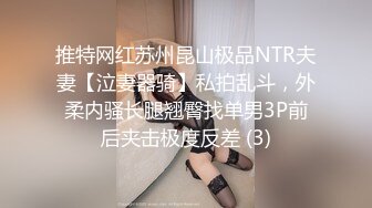 推特网红苏州昆山极品NTR夫妻【泣妻器骑】私拍乱斗，外柔内骚长腿翘臀找单男3P前后夹击极度反差 (3)