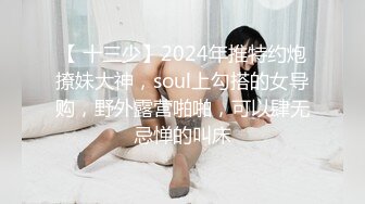 【 十三少】2024年推特约炮撩妹大神，soul上勾搭的女导购，野外露营啪啪，可以肆无忌惮的叫床