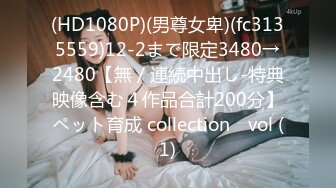 (HD1080P)(男尊女卑)(fc3135559)12-2まで限定3480→2480【無／連続中出し-特典映像含む４作品合計200分】ペット育成 collection　vol (1)