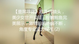 【壹屌寻花】超清4K镜头，美少女岔开双腿，粉嫩鲍鱼完美展示，激情啪啪娇喘不断，角度专业实力探花 (2)