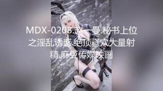 MDX-0208.赵一曼.秘书上位之淫乱诱惑.绝顶骚穴大量射精.麻豆传媒映画