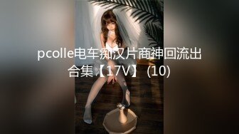 pcolle电车痴汉片商神回流出合集【17V】 (10)