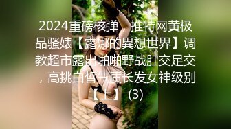 2024重磅核弹，推特网黄极品骚婊【露娜的異想世界】调教超市露出啪啪野战肛交足交，高挑白皙气质长发女神级别【上】 (3)