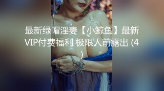 最新绿帽淫妻【小鲸鱼】最新VIP付费福利 极限人前露出 (4)